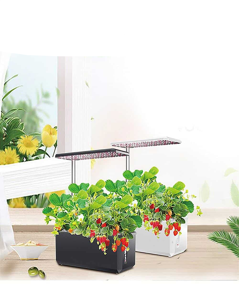 6 Pods Hydroponics Growing System Indoor Herb Garden with LED Grow Light Smart Garden Planter for Home Kitchen Automatic Timer